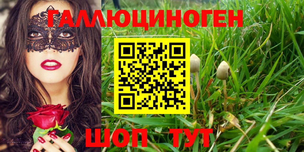 Касимов  Галлюциногенные грибы мицелий  Вход с VPN  Галлюциногенные грибы Psilocybe 